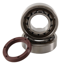 BEARING & SEAL KTM 250XCF-W 2013