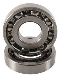 BEARING & SEAL TRX 500TM 2005-06