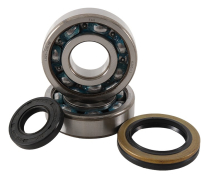 BEARING & SEAL KIT SUZ.RM 250 89-95