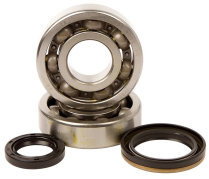 BEARING & SEAL KIT SUZ.RMX 250 95-98