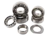 TRANSMISSION BEARING KIT