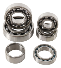 TRANSMISSION BEARING KIT