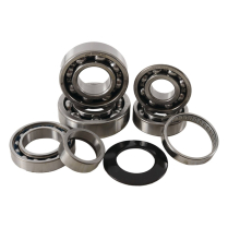 TRANSMISSION BEARING KIT