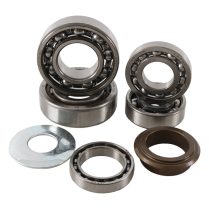 TRANSMISSION BEARING KIT