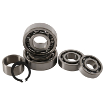 TRANSMISSION BEARING KIT
