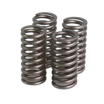 SPRING(S), OEM REPLACEMENT, CR-SI, IN/EX, HARLEY DAVIDSON,