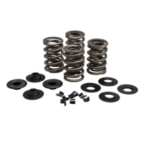 SPRING KIT, LIGHTWEIGHT RACING, 0.650" LIFT, VARIOUS 5/16" H