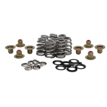 BEEHIVE SPRING KIT, TITANIUM, 0.625" LIFT, HARLEY-DAVIDSON&reg;,