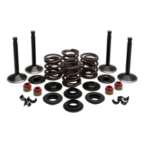 ENS. MOTEUR, HARLEY-DAVIDSON, ''PANHEAD'', 1948-65