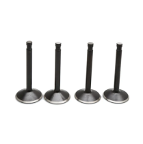 VALVE KIT, HARLEY-DAVIDSON&reg;, SHOVELHEAD 80", 1978-'83