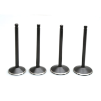 VALVE KIT, HARLEY-DAVIDSON&reg;, EVOLUTION, 1984-'99