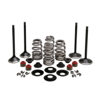 ENGINE KIT, HARLEY-DAVIDSON&reg;, EVO SPORTSTER 1200CC, 2004-'17