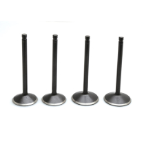 VALVE KIT, HARLEY-DAVIDSON&reg;, TWIN CAM 88"