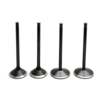 VALVE KIT, HARLEY-DAVIDSON&reg;, TWIN CAM 88""-103"