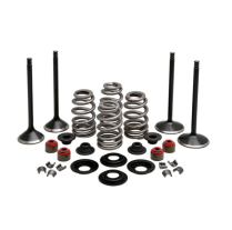 ENGINE KIT, HARLEY-DAVIDSON&reg;, TWIN CAM 88""-103"