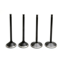 VALVE KIT, HARLEY-DAVIDSON&reg;, BUELL XB9, 2003-'07