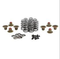 BEEHIVE SPRING KIT, TITANIUM, 0.640" LIFT, HARLEY-DAVIDSON&reg;,