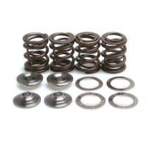 SPRING KIT, .465 LIFT, HONDA, XR/XL 500/600/650