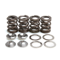 SPRING KIT, .425 LIFT, HONDA, ATC 350X