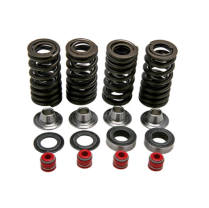 SPRING KIT, .350" LIFT IN/EX, HONDA, CRF 250R, 2004-'07