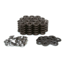 SPRING KIT, .440 LIFT, HONDA, CBR 1000