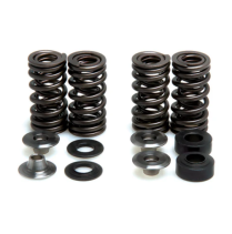SPRING KIT, .350" LIFT IN/EX, HONDA, CRF 150R, 2007-'09