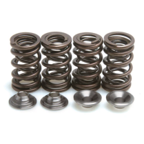 SPRING KIT, .460 LIFT, HONDA, TRX 400 EX