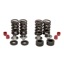 SPRING KIT, .350" LIFT IN/EX, HONDA, CRF 250R, 2008-'09