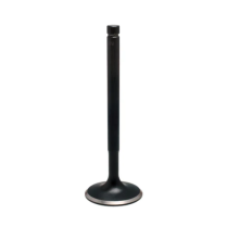 VALVE, EXHAUST, HONDA, XR400