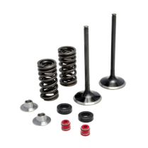SPRING KIT, .350" LIFT, HONDA, CRF 250R, 2004-'13 (INTAKE ON
