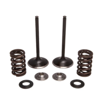 SPRING KIT, .440" LIFT, HONDA, CRF 450R, 2002-'08 (INTAKE ON