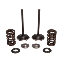 SPRING KIT, .440" LIFT, HONDA, CRF 450X, 2005-'09 (INTAKE ON