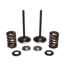 SPRING KIT, .440" LIFT, HONDA, CRF 450R, 2009-'12 (INTAKE ON