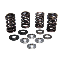 SPRING KIT, .440" LIFT IN/EX, HONDA, CRF 450R, 2009-'12