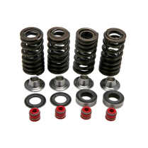 HI-LIFT SPRING KIT, 0.385" LIFT IN/EX, HONDA, CRF 250R, 2004