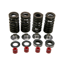 HI-LIFT SPRING KIT, 0.385" LIFT IN/EX, HONDA, CRF 250R, 2008