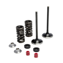 INTAKE ONLY SPRING KIT, 0.385" LIFT IN, HONDA, CRF 250R, 201