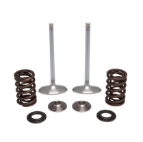 SPRING KIT, INTAKE ONLY, .440" LIFT, HONDA&reg;, CRF&trade; 450R/RX/WE