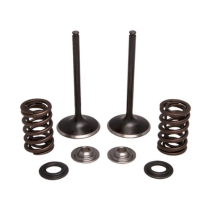 INTAKE VALVE KIT, HONDA&reg;, TRX&trade; 450R, 2004-2005