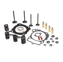 CYL. HEAD SERV. KIT, HONDA&reg;, CRF&trade; 450R, 2002-2006