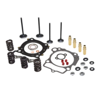 CYL. HEAD SERV. KIT, HONDA&reg;, CRF&trade; 450R, 2007-2008