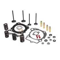 CYL. HEAD SERV. KIT, HONDA&reg;, CRF&trade; 450X, 2005-2017