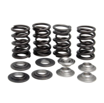 RACING SPRING KIT, TITANIUM, 0.390" LIFT, HONDA&reg;, VARIOUS 25
