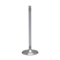 VALVE, WHITE DIAMOND&reg; STAINLESS, STD. EX, HONDA&reg;, VARIOUS 10