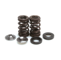 SPRING KIT, .460 LIFT, HONDA, ATC 185-200