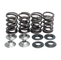 SPRING KIT, .440 LIFT, KAWASAKI, KLX/KFX 400