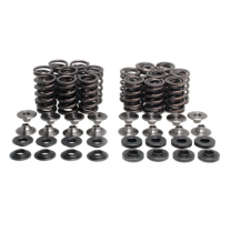 SPRING KIT, .445" LIFT IN/EX, KAWASAKI, ZX-10, 2004-'07