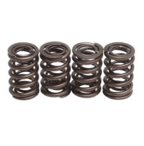 SPRING ONLY, .500 LIFT, KAWASAKI, KLX/KLR 600/650