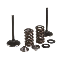 SPRING KIT KAW. KFX450R 08-13 INTAKE