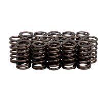 SPRINGS, CR-SI, IN/EX, KAWASAKI&reg;, ZX-10R&trade;, 2008-2010